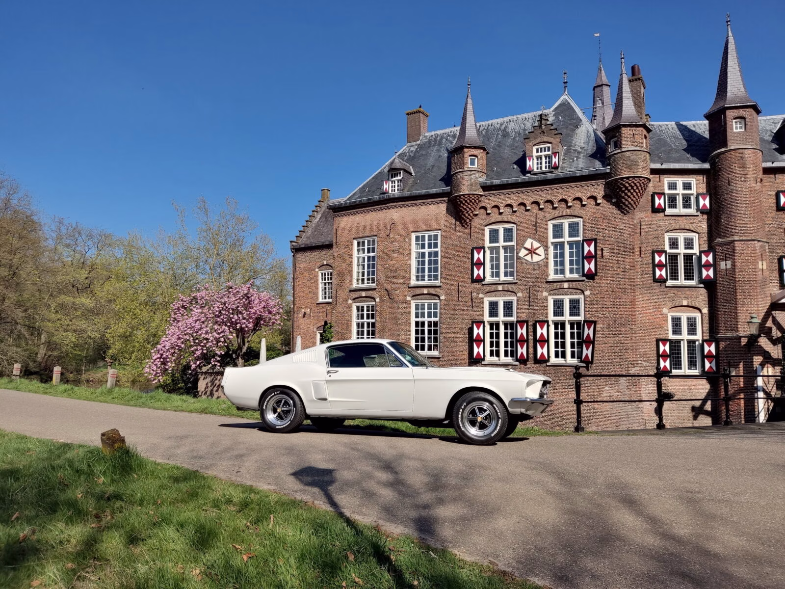 Special Day Drive